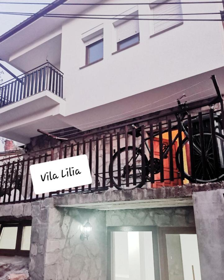 Lake View Apartment Ohrid Bagian luar foto